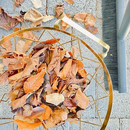 Oba‘doba Falke Apartment Pfronten