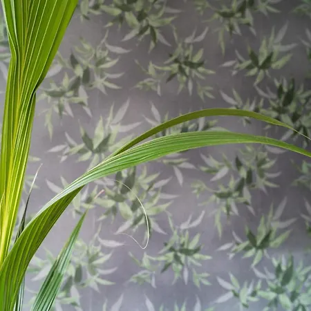 Oba‘doba Falke Apartment Pfronten